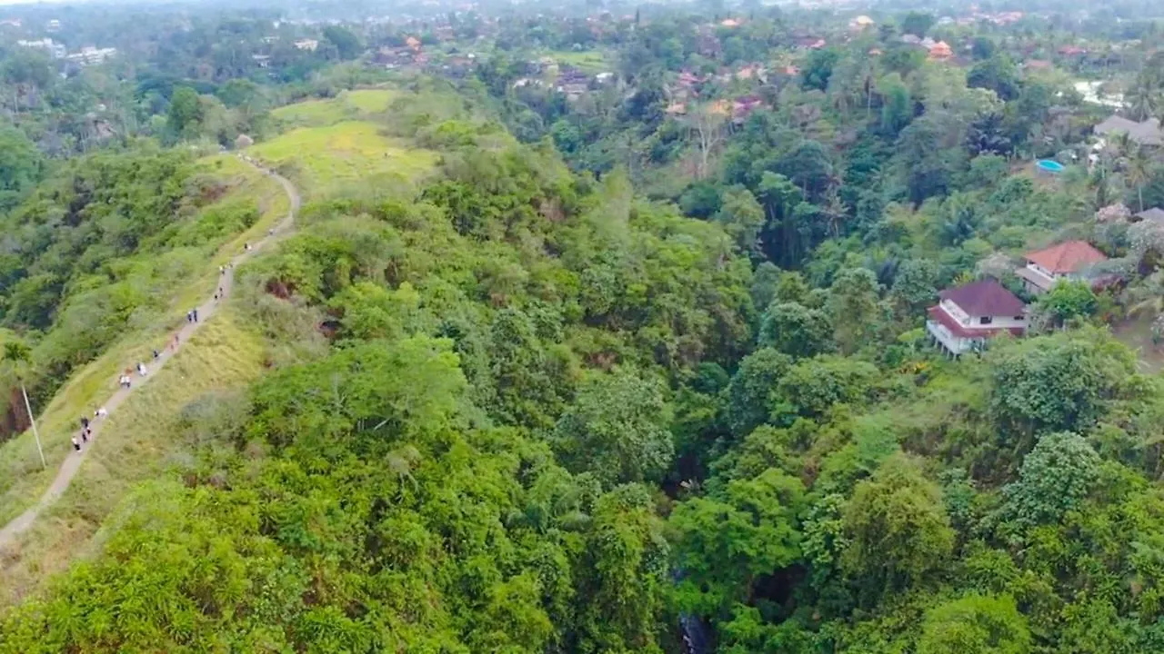 מלון אובוד Taman Indrakila בית הארחה